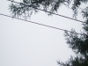 P9170104